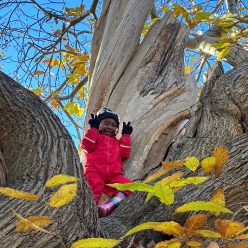 Forest School in Action